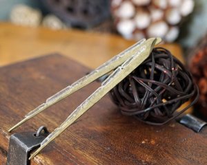 EDGY RAW QUARTZ Spike Earrings